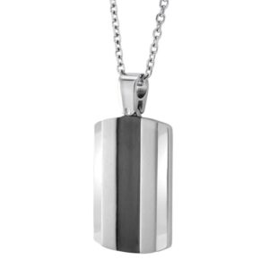 A silver dog tag necklace with a black and white stripe.