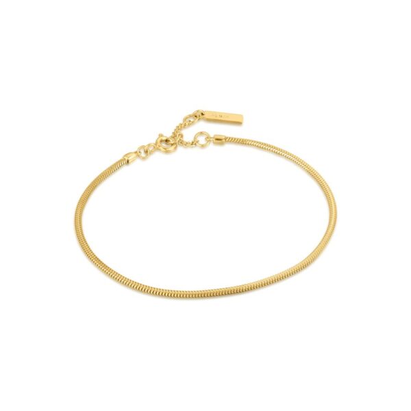 A gold - plated bracelet with a thin chain.