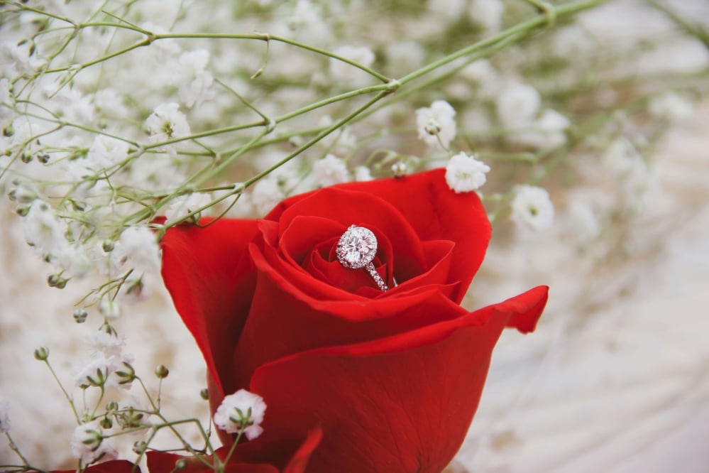 Diamond ring set in white gold sitting on top of a red rose