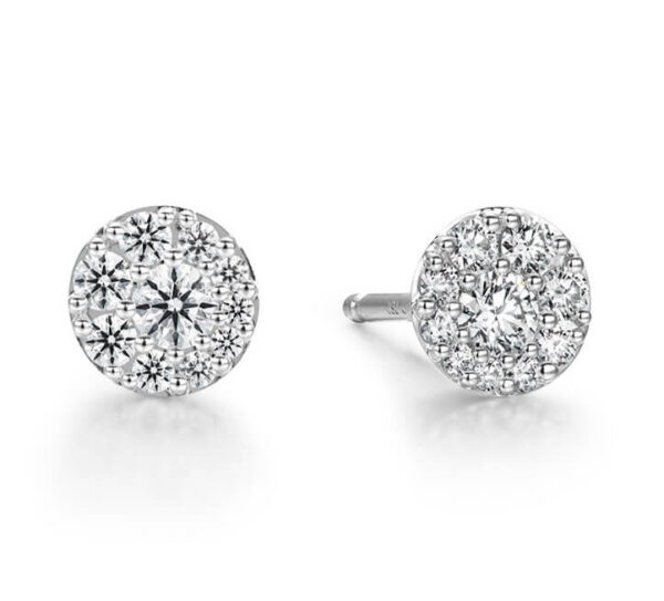 HEARTS ON FIRE TESSA DIAMOND CIRCLE EARRINGS HFETESC00508W