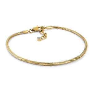 ITALGEM STEEL GOLD-IP SILK-SNAKE ANKLET SWN48-9+1